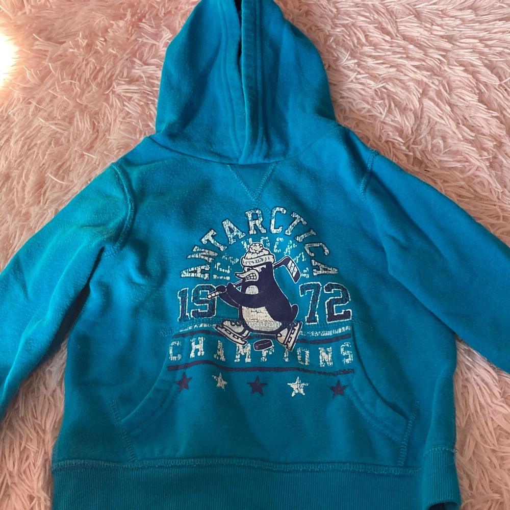 Hockey penguin hoodie